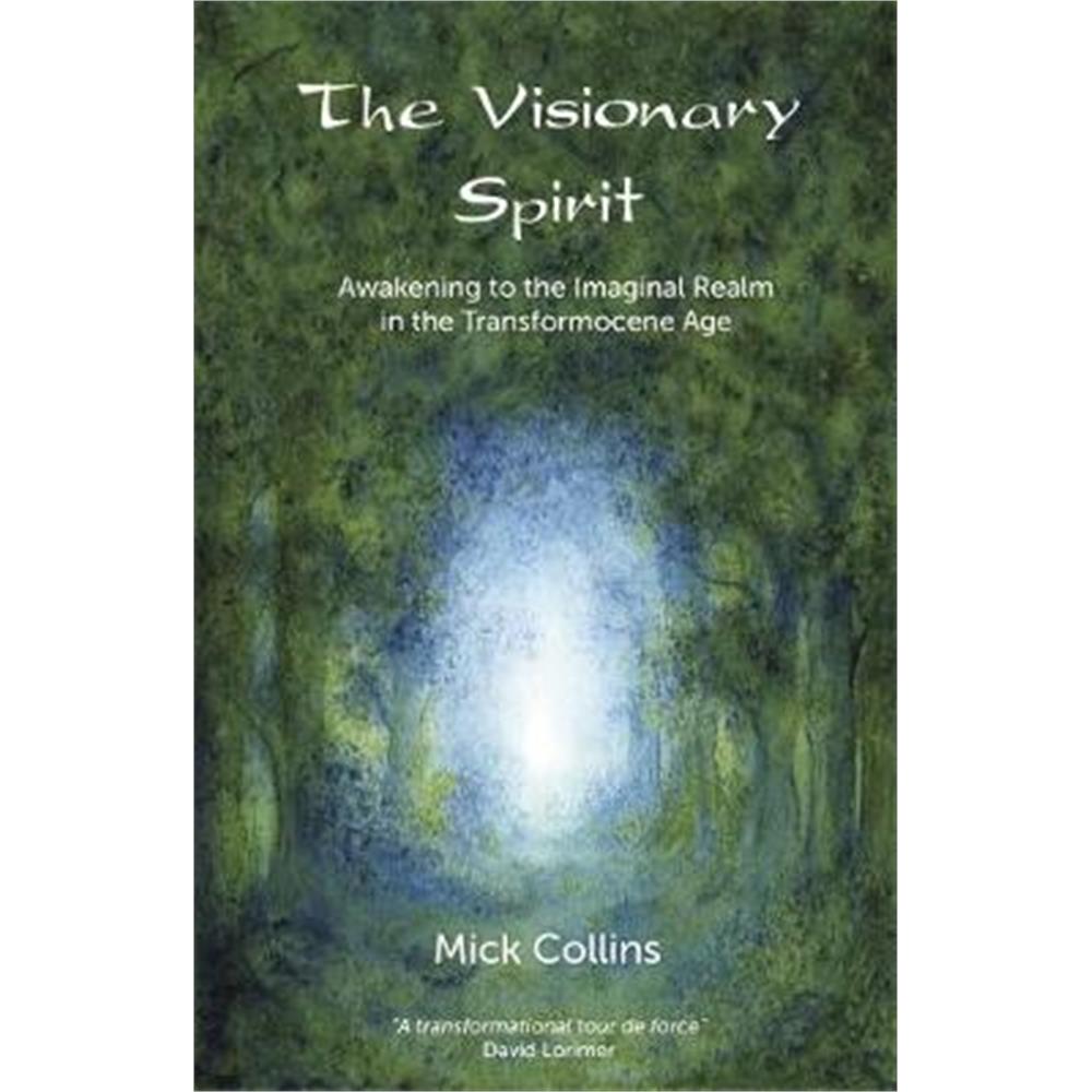 The Visionary Spirit (Paperback) - Mick Collins